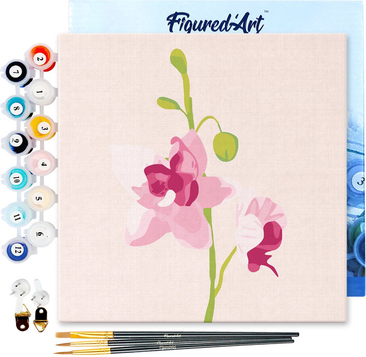 FiguredArt Mini Schilderen op Nummer Volwassenen 20x20cm met lijst Orchidee - Klein Formaat Creatieve Hobby Kit DIY Art Nummer Compleet
